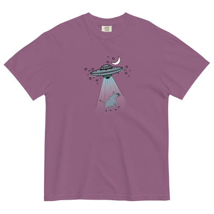 Alien Invasion Comfort Colors T Shirt