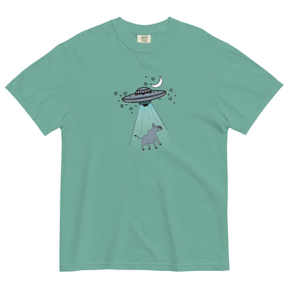 Alien Invasion Comfort Colors T Shirt