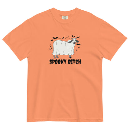 Spooky Bitch Comfort Colors T Shirt