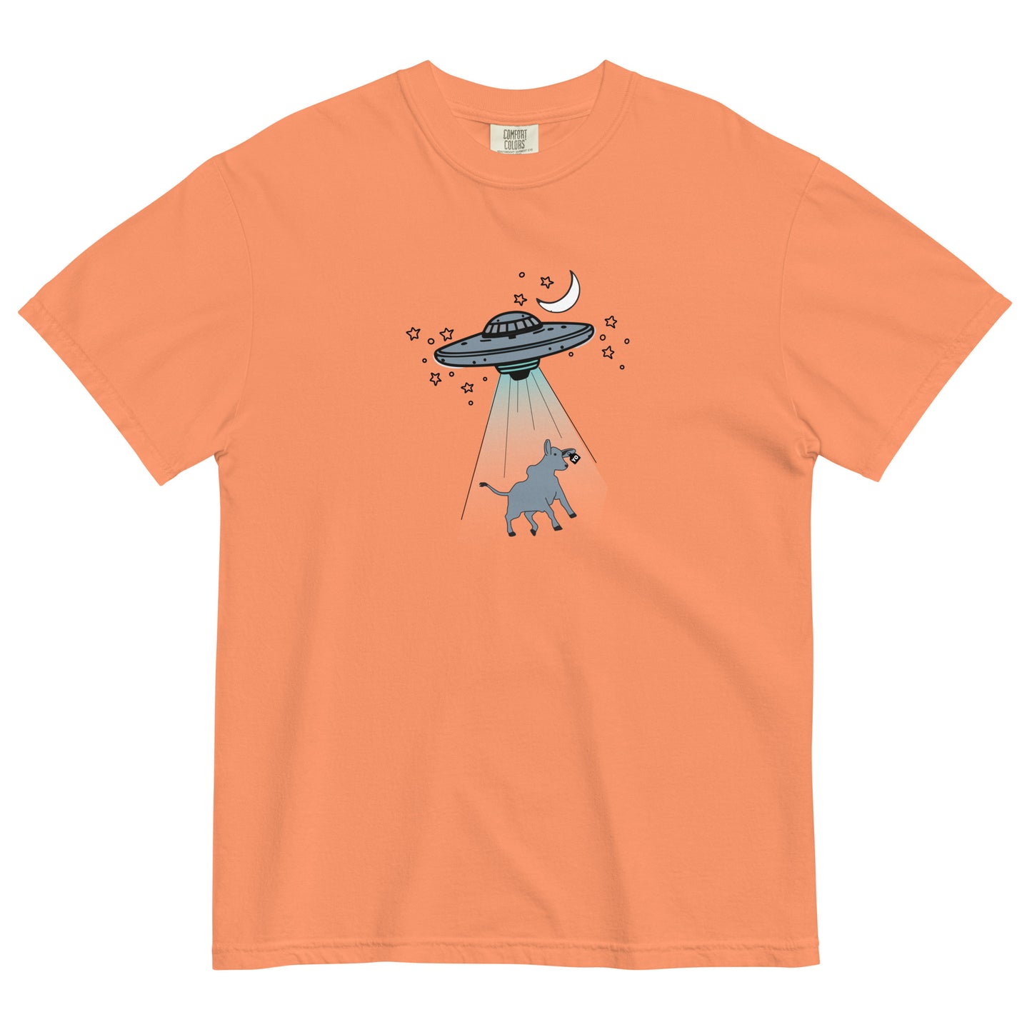 Alien Invasion Comfort Colors T Shirt