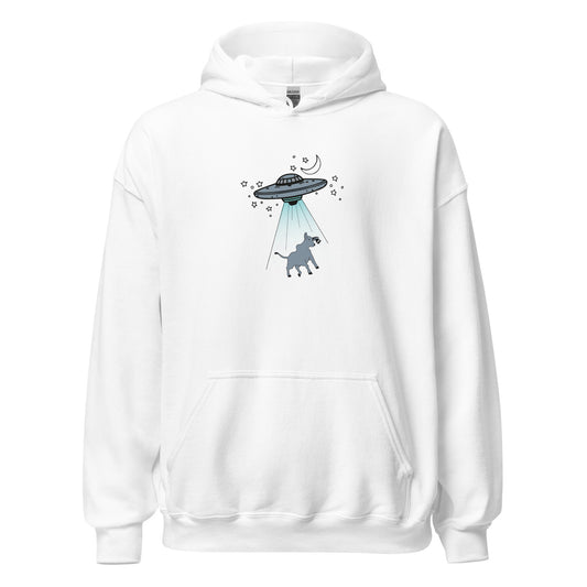 Alien Invasion Hoodie